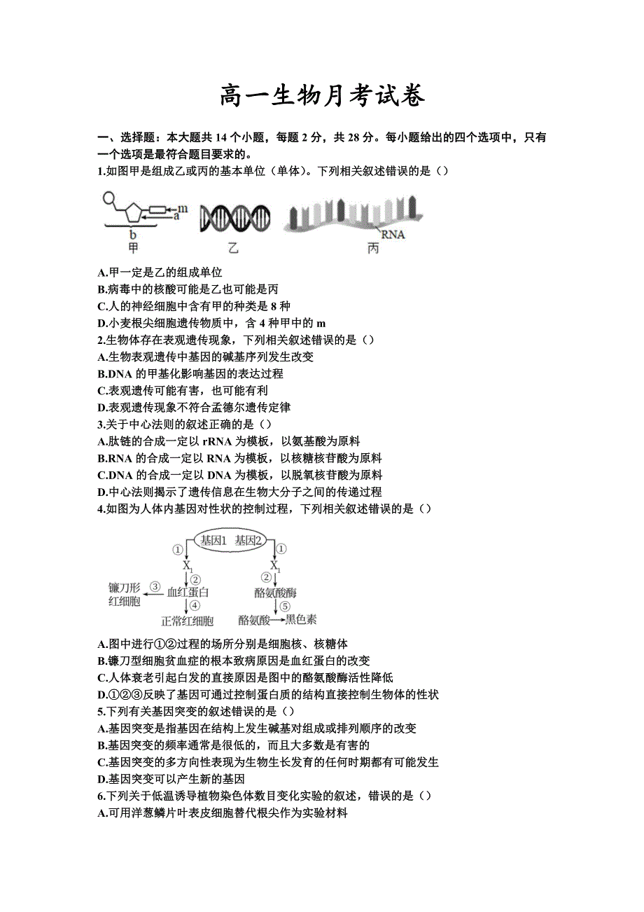 山东省临朐县实验中学2020-2021学年高一下学期6月月考生物试题 WORD版含答案.doc_第1页