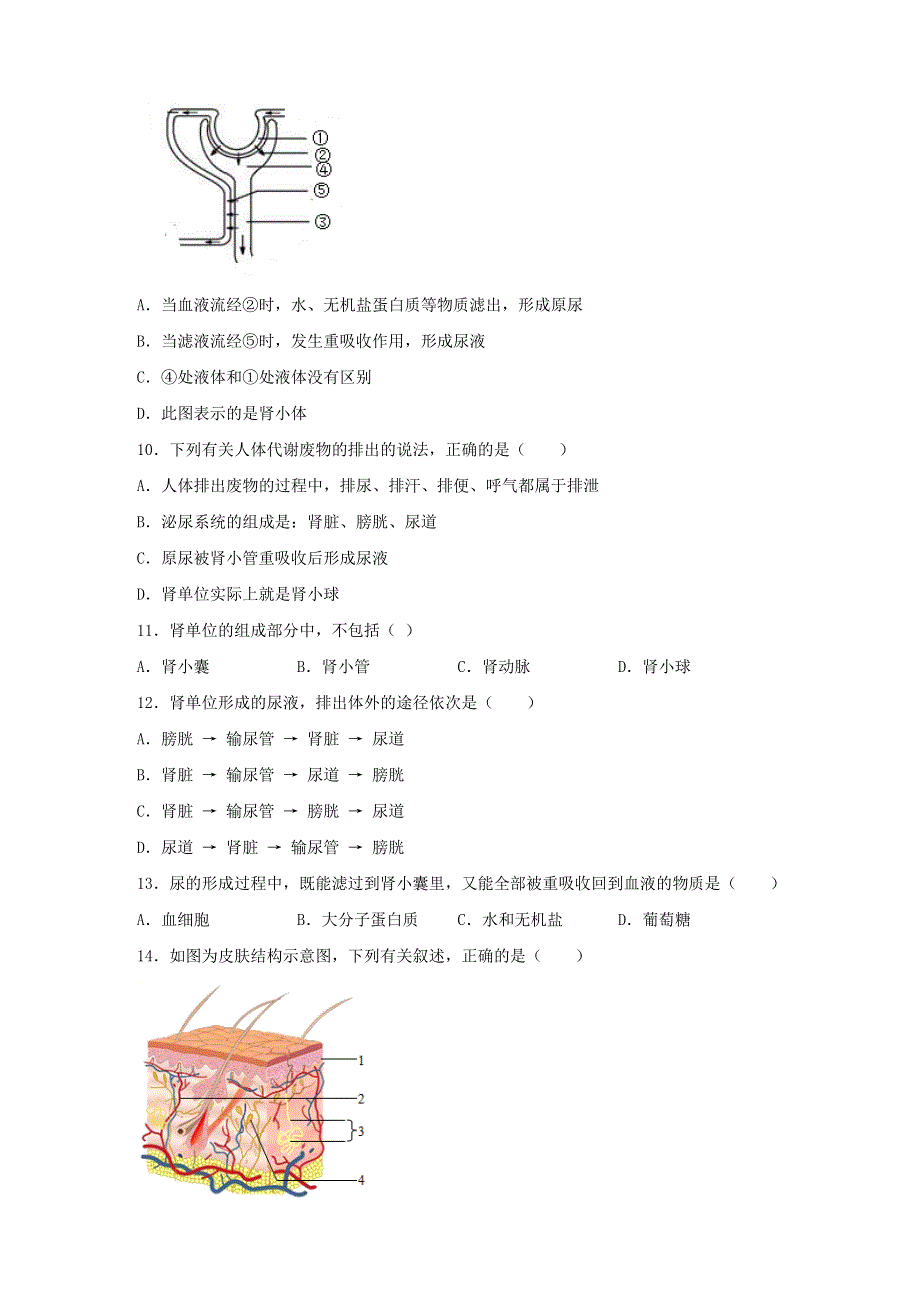 七年级生物下册 第四单元 第五章 人体内废物的排出章末练习 （新版）新人教版.docx_第2页