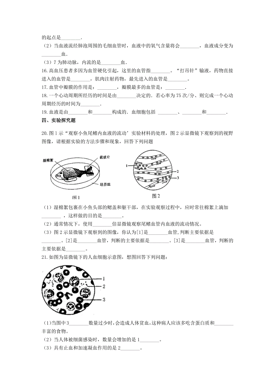 七年级生物下册 第四单元 生物圈中的人 第四章 人体内物质的运输测试题 新人教版.docx_第3页