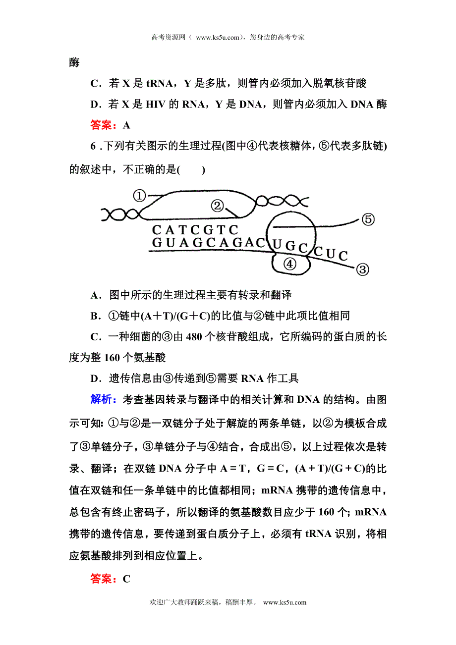 2012-2013学年新人教版高一生物必修二课时作业12 基因对性状的控制.doc_第3页