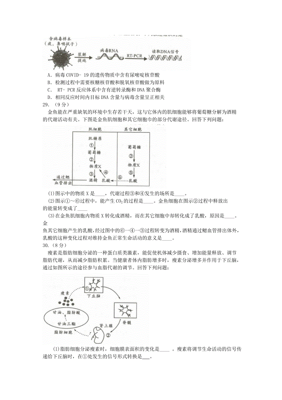 四川省成都市2020届高三生物第三次诊断性检测试题.doc_第2页