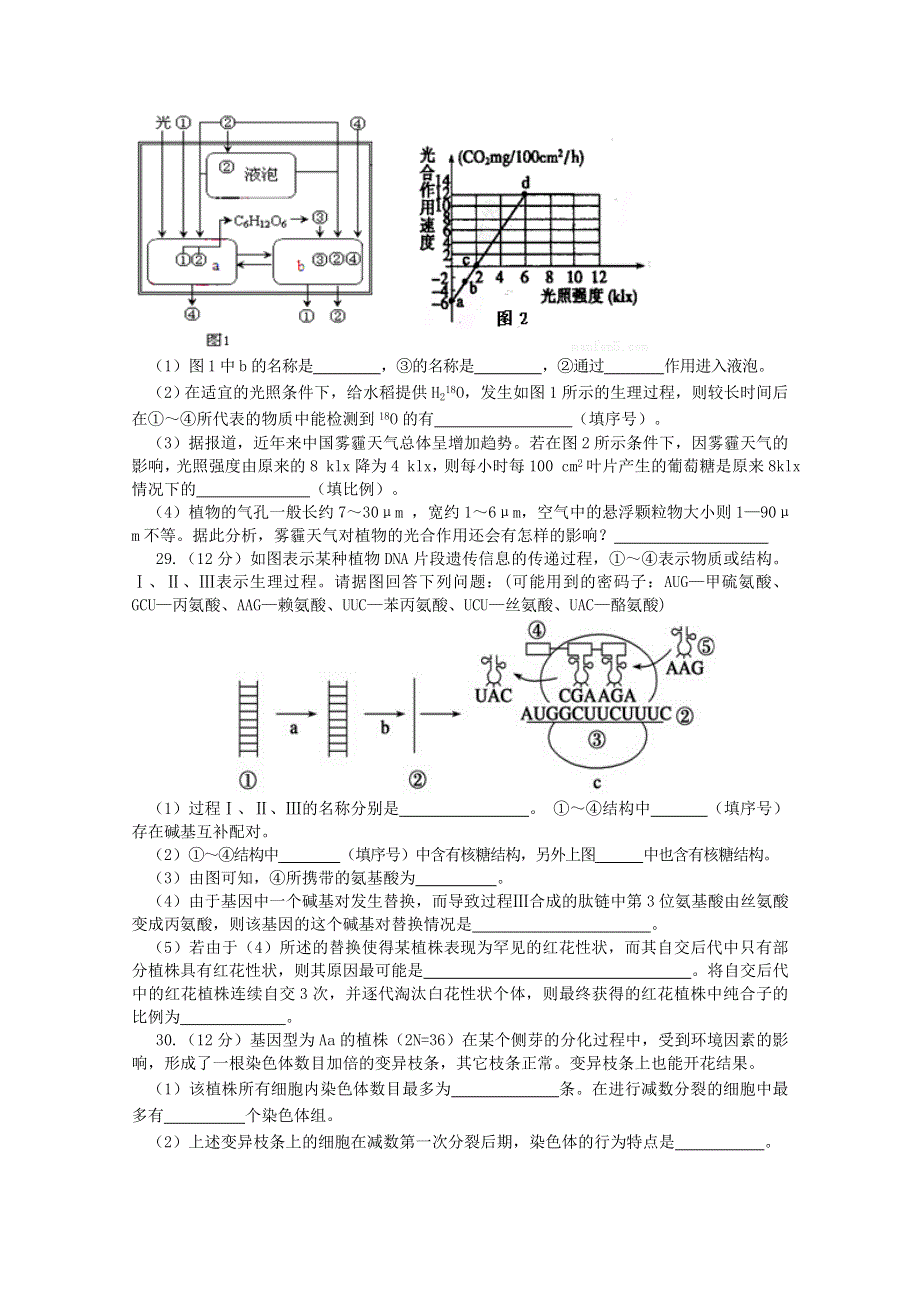 山东省临沂七中2016届高三上学期第二次理综测试生物试题 WORD版含答案.doc_第3页