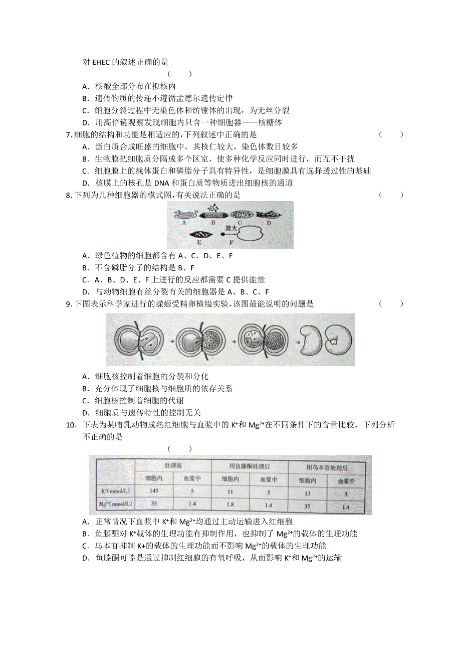 山东省临沂市2012届高三上学期期中考试 生物试题 WORD版.doc_第2页