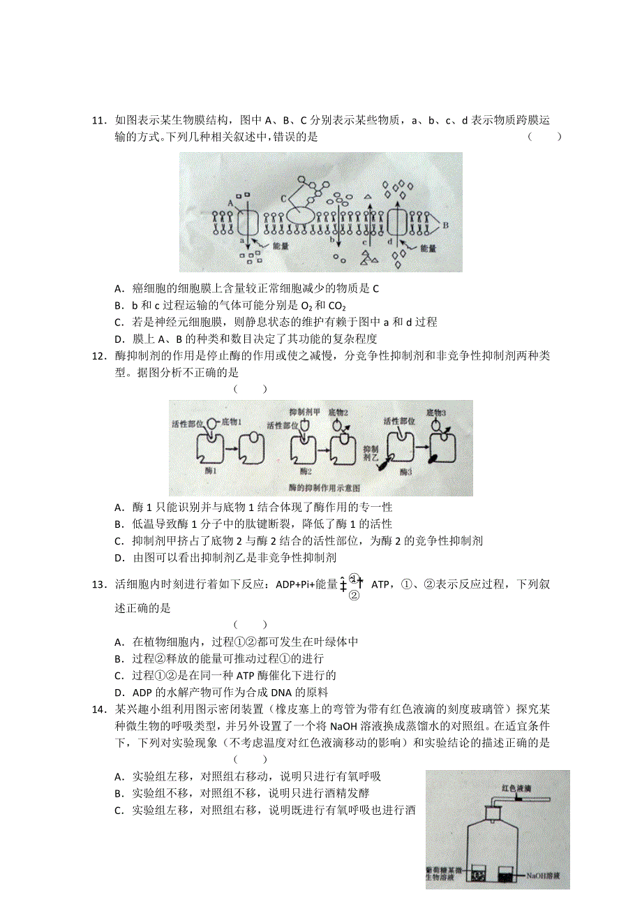 山东省临沂市2012届高三上学期期中考试 生物试题 WORD版.doc_第3页