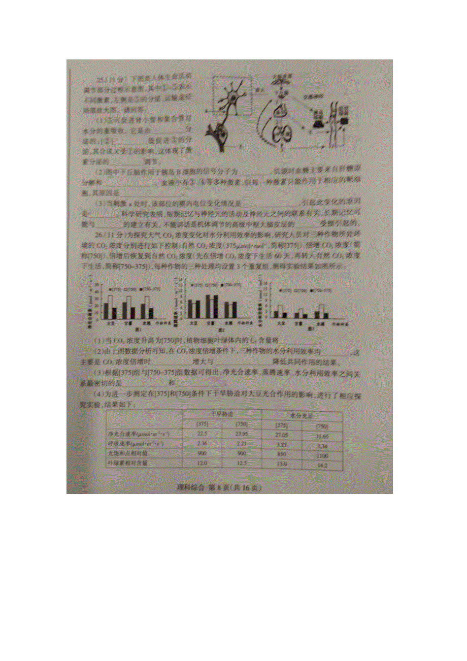 山东省临沂市2015届高三5月高考模拟考试理科综合生物试题 扫描版无答案.doc_第3页