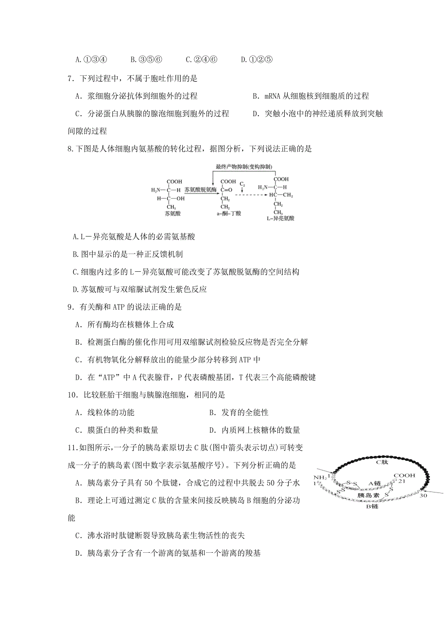 山东师范大学附属中学2017届高三上学期第一次模拟考试生物试题 WORD版含答案.doc_第2页