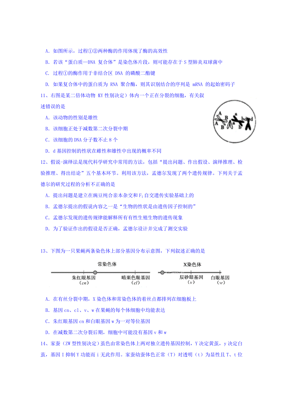 山东师范大学附属中学2019届高三第四次模拟生物试题 WORD版含答案.doc_第3页