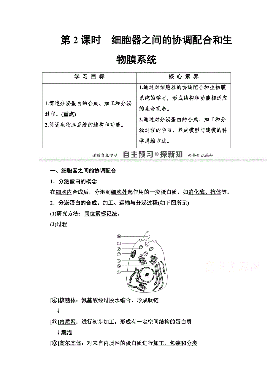 2020-2021学年人教版高中生物必修1学案：第3章 第2节 第2课时　细胞器之间的协调配合和生物膜系统 WORD版含解析.doc_第1页