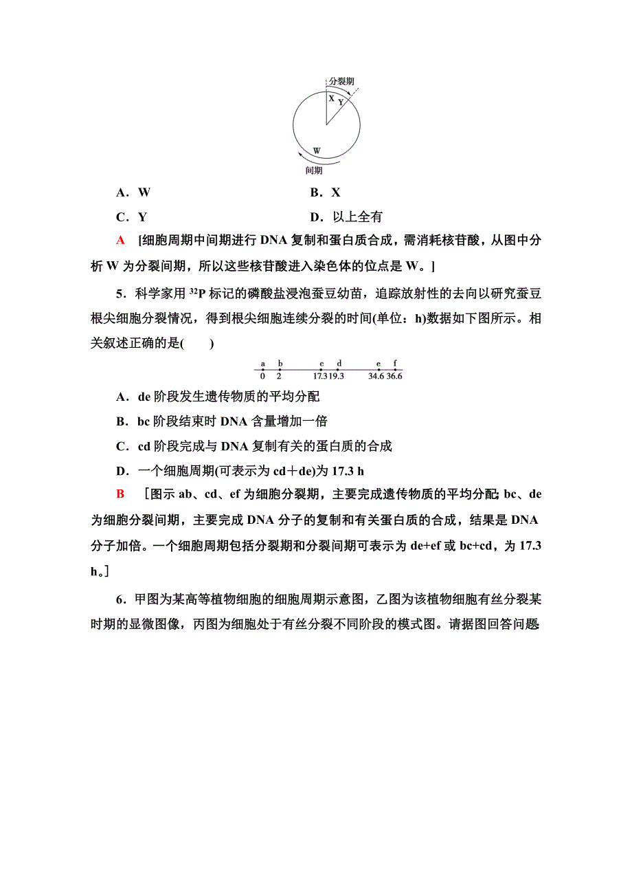 2020-2021学年人教版高中生物必修1课时作业：6-1-1　细胞周期和高等植物细胞的有丝分裂 WORD版含解析.doc_第2页