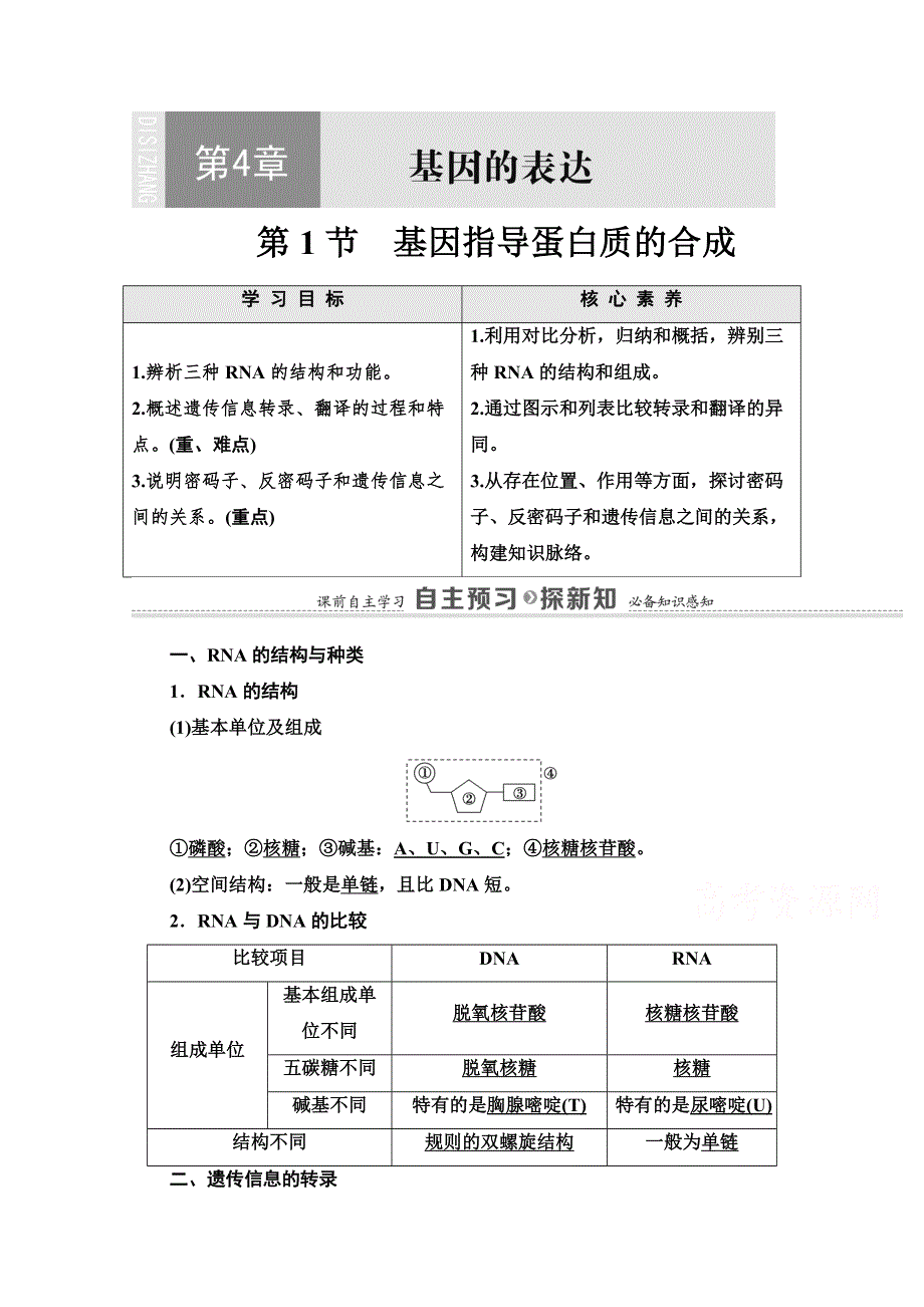 2020-2021学年人教版高中生物必修2学案：第4章 第1节　基因指导蛋白质的合成 WORD版含解析.doc_第1页