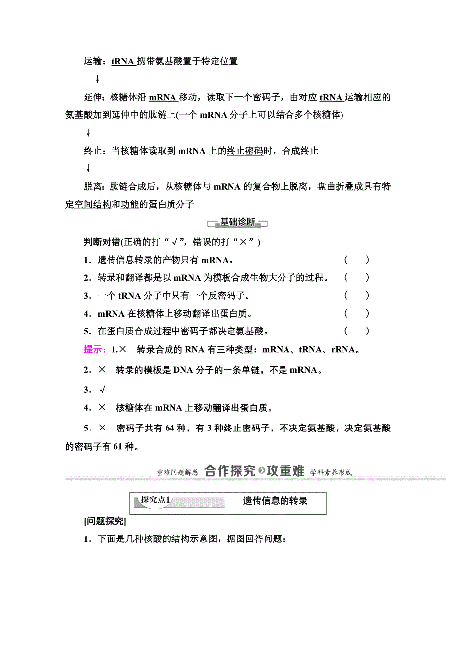 2020-2021学年人教版高中生物必修2学案：第4章 第1节　基因指导蛋白质的合成 WORD版含解析.doc_第3页