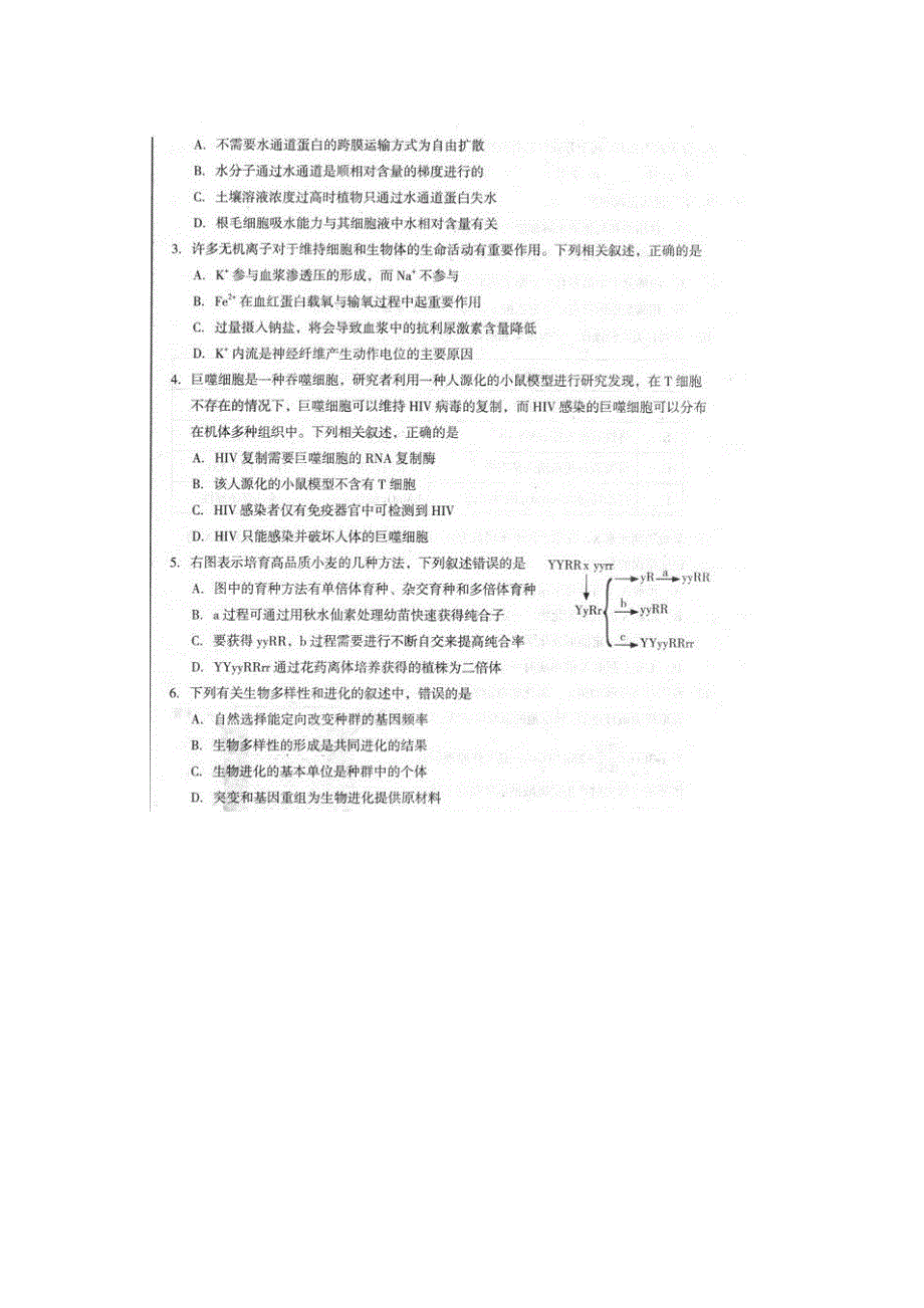 东北三省四市2017届高三高考第二次模拟考试理综-生物试题 扫描版含答案.doc_第2页