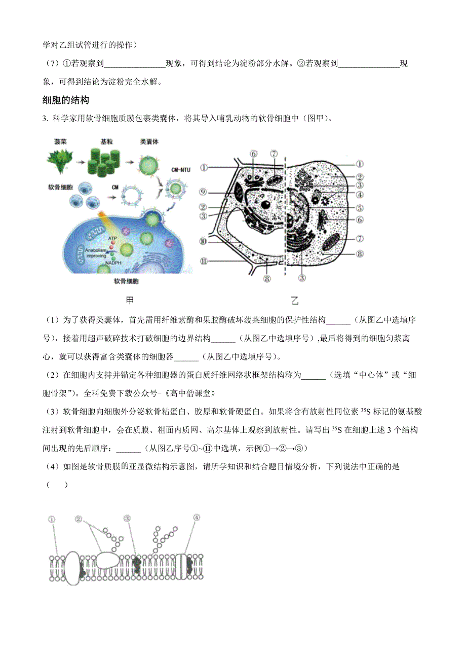 上海中学2022-2023学年高一上学期期末练习生物试题 WORD版含答案.docx_第3页