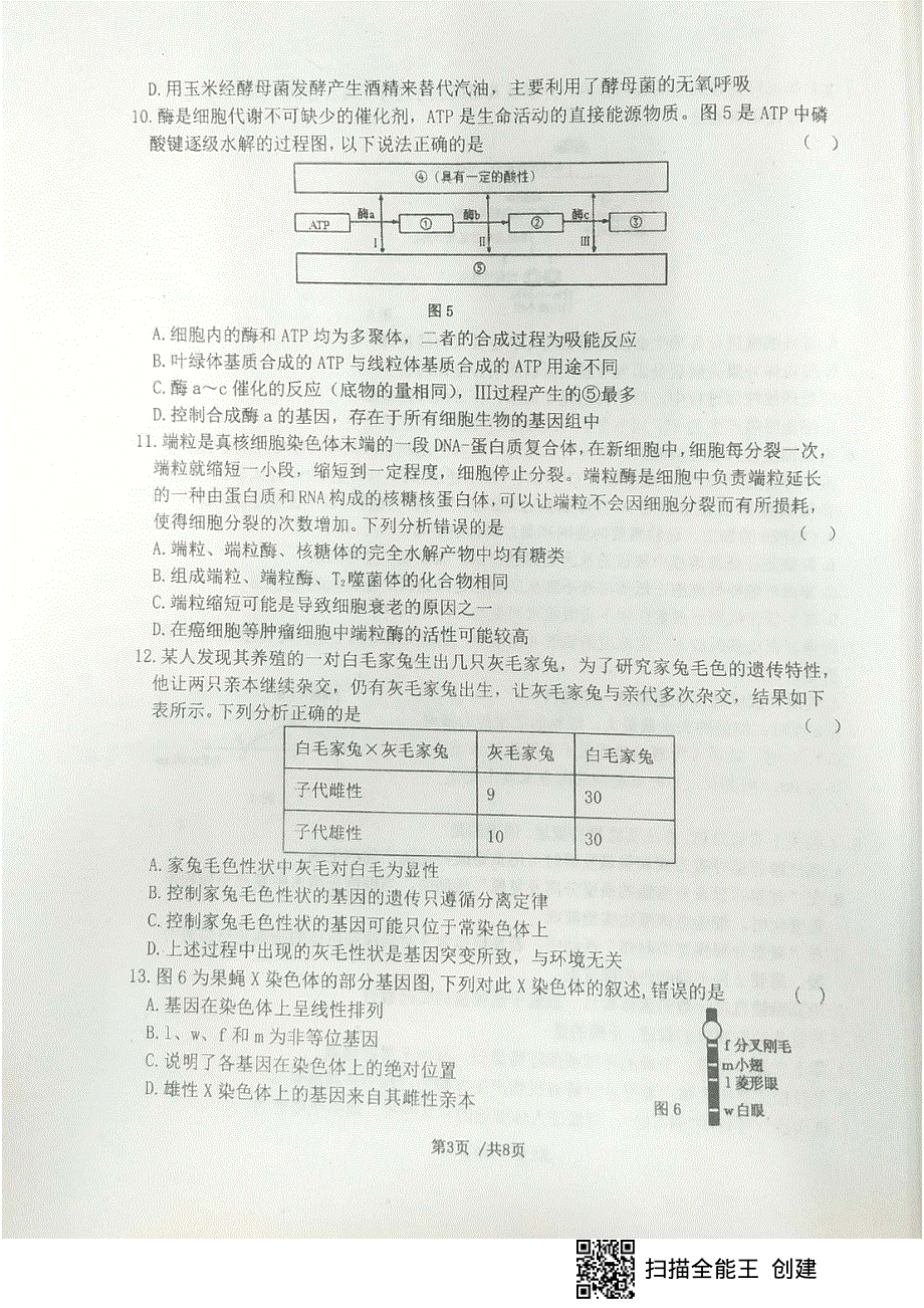 辽宁省大连市第一中学2021届高三上学期期中考试生物试题 PDF版含答案.pdf_第3页