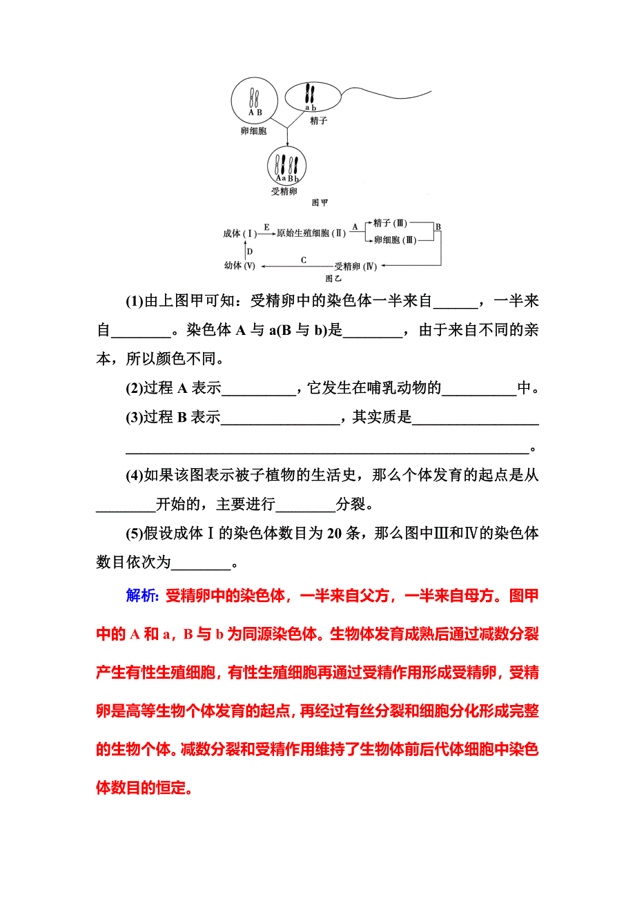 2018年秋高中生物人教版必修二检测：第2章第1节第2课时受精作用 WORD版含解析.doc_第3页