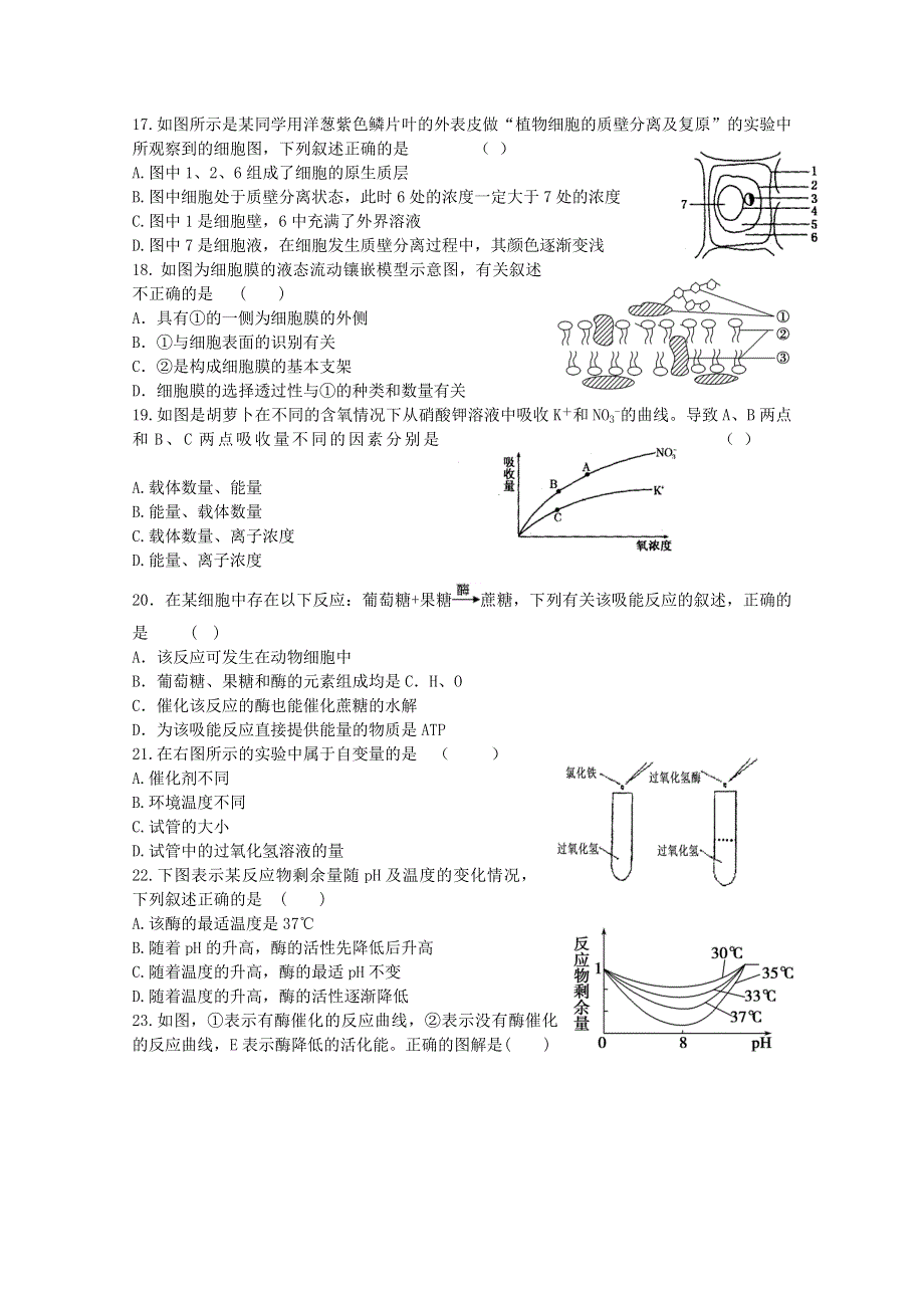 山东省临沂市临沭县2012-2013学年高一下学期摸底考试生物试题 WORD版含答案.doc_第3页