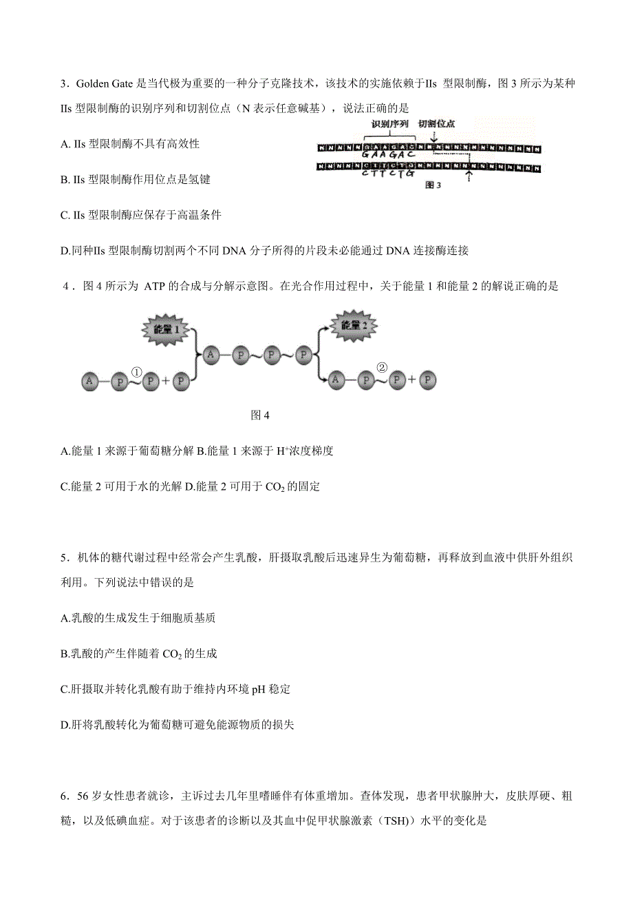 上海市松江区松江二中2020-2021学年高二上学期期中考试生物试卷 WORD版含答案.docx_第2页