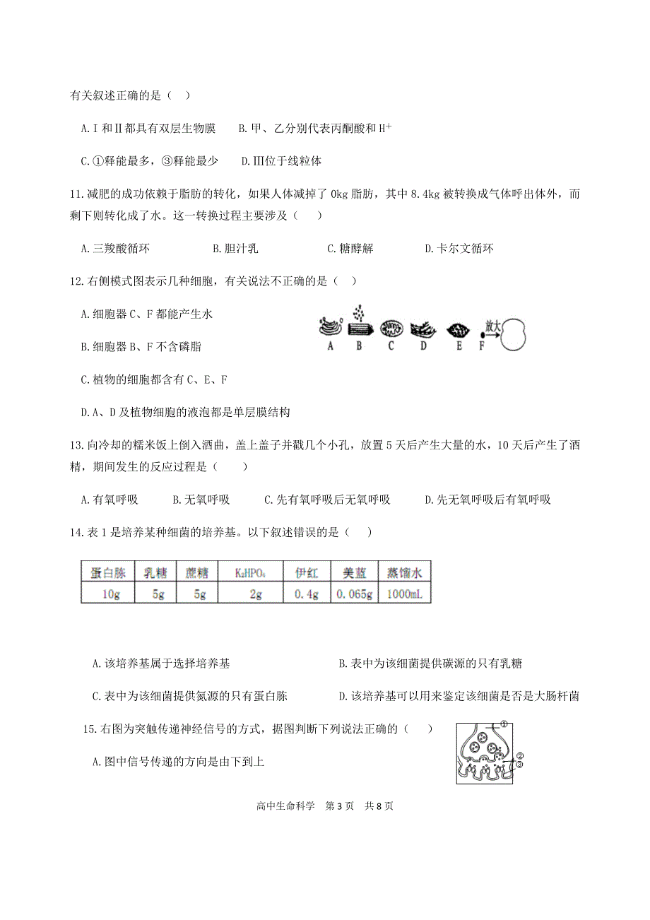 上海市洋泾中学2020-2021学年高二上学期期中考试生物试卷 WORD版含答案.docx_第3页