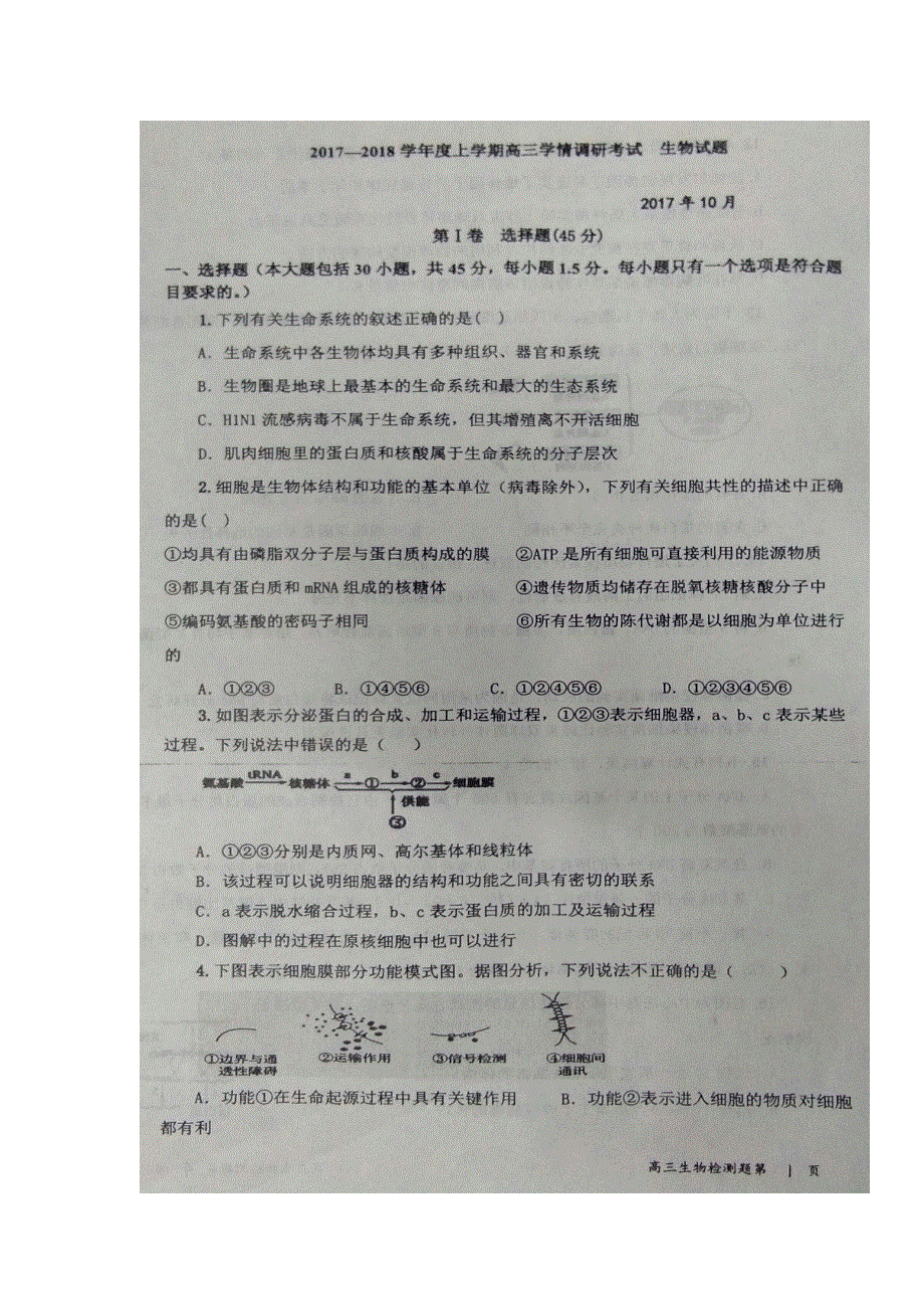 山东省临沂市临沭县第一中学2018届高三10月学情调研测试生物试题 扫描版含答案.doc_第1页