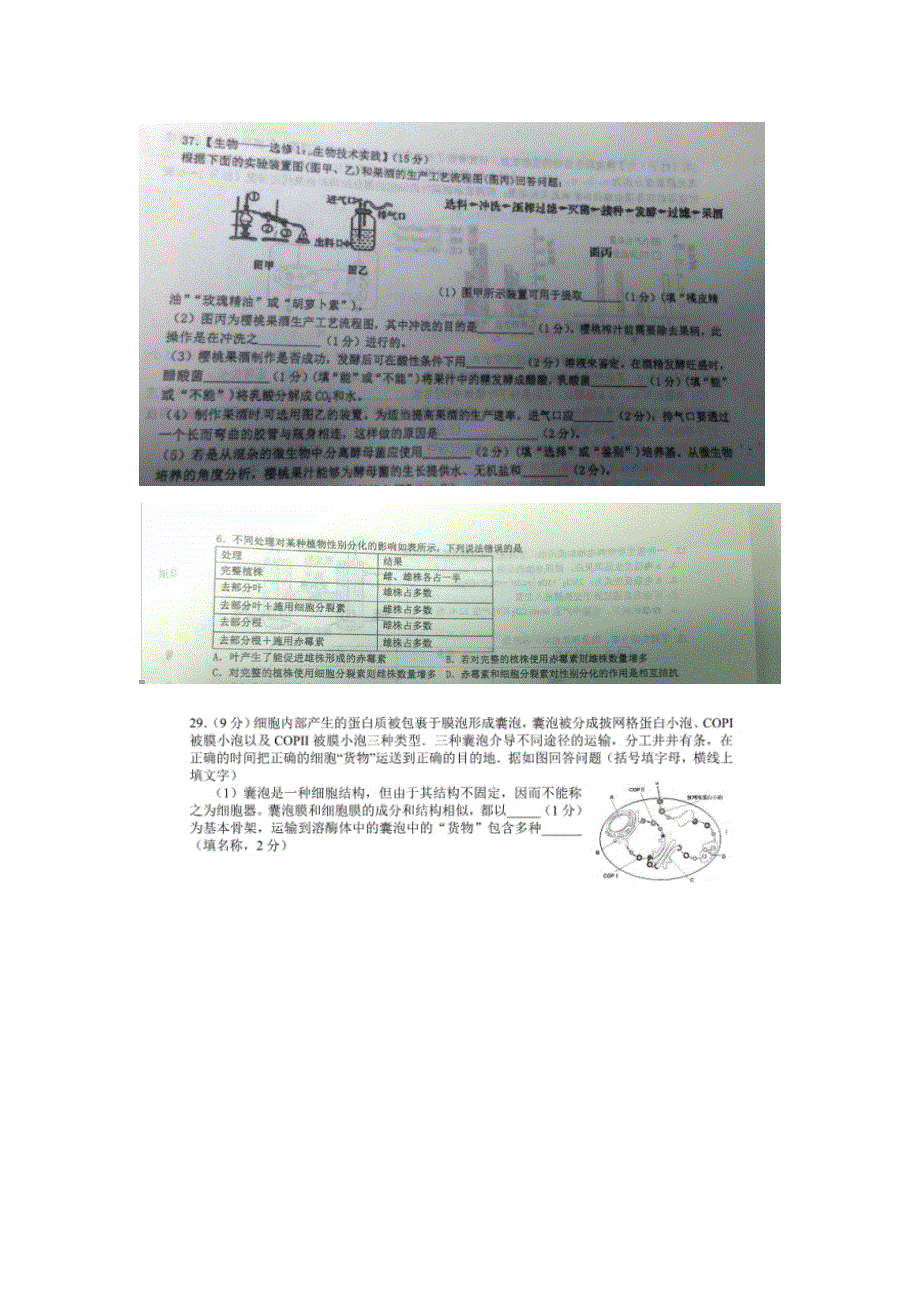 四川省成都市川师大附中2017届高三一诊模拟生物试题 扫描版含答案.doc_第2页