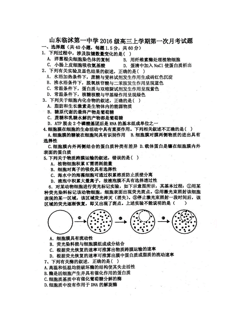 山东省临沂市临沭第一中学2019届高三10月学情调研测试生物试题 扫描版含答案.doc_第1页