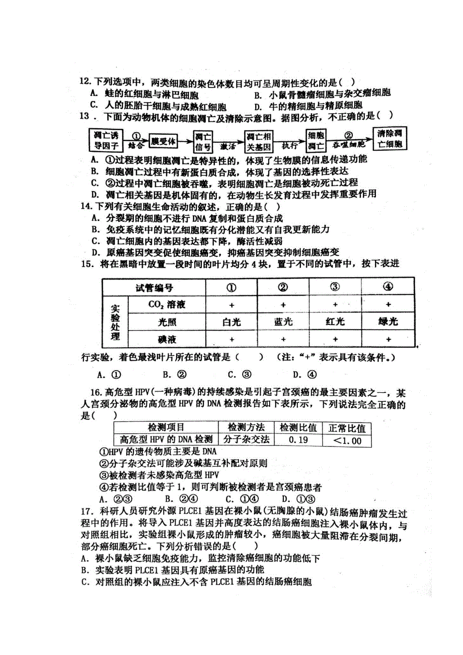 山东省临沂市临沭第一中学2019届高三10月学情调研测试生物试题 扫描版含答案.doc_第3页