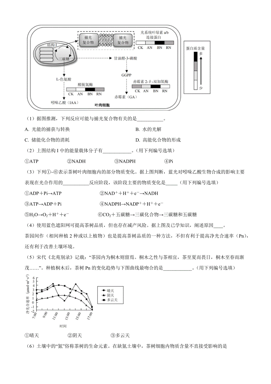 上海市虹口区2022-2023学年高三上学期第一次模拟考试 生物 WORD版含答案.docx_第3页