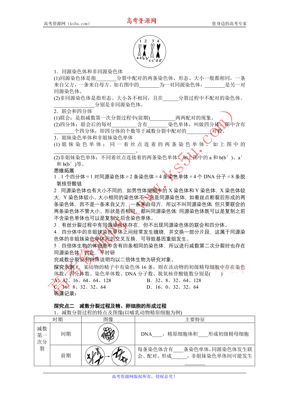 2013届高考生物一轮复习学案17　减数分裂和受精作用（人教版）.doc_第2页