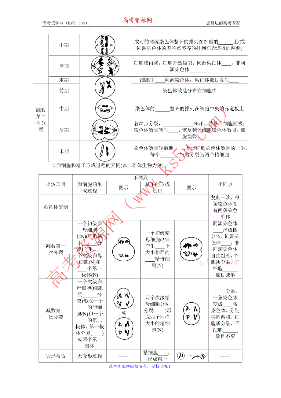 2013届高考生物一轮复习学案17　减数分裂和受精作用（人教版）.doc_第3页