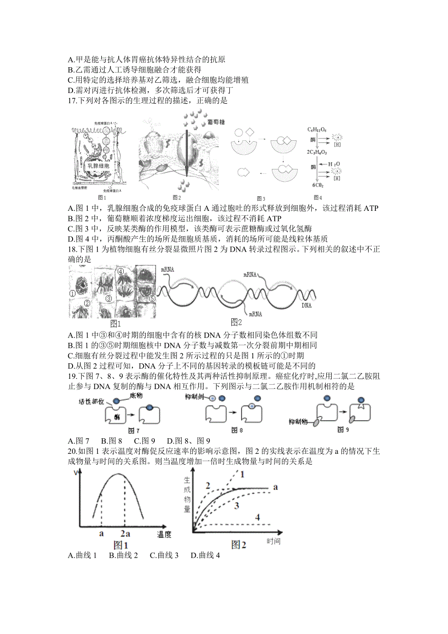 上海市虹口高级中学2017届高三第二学期3月月考生命科学试卷 WORD版含答案.docx_第3页