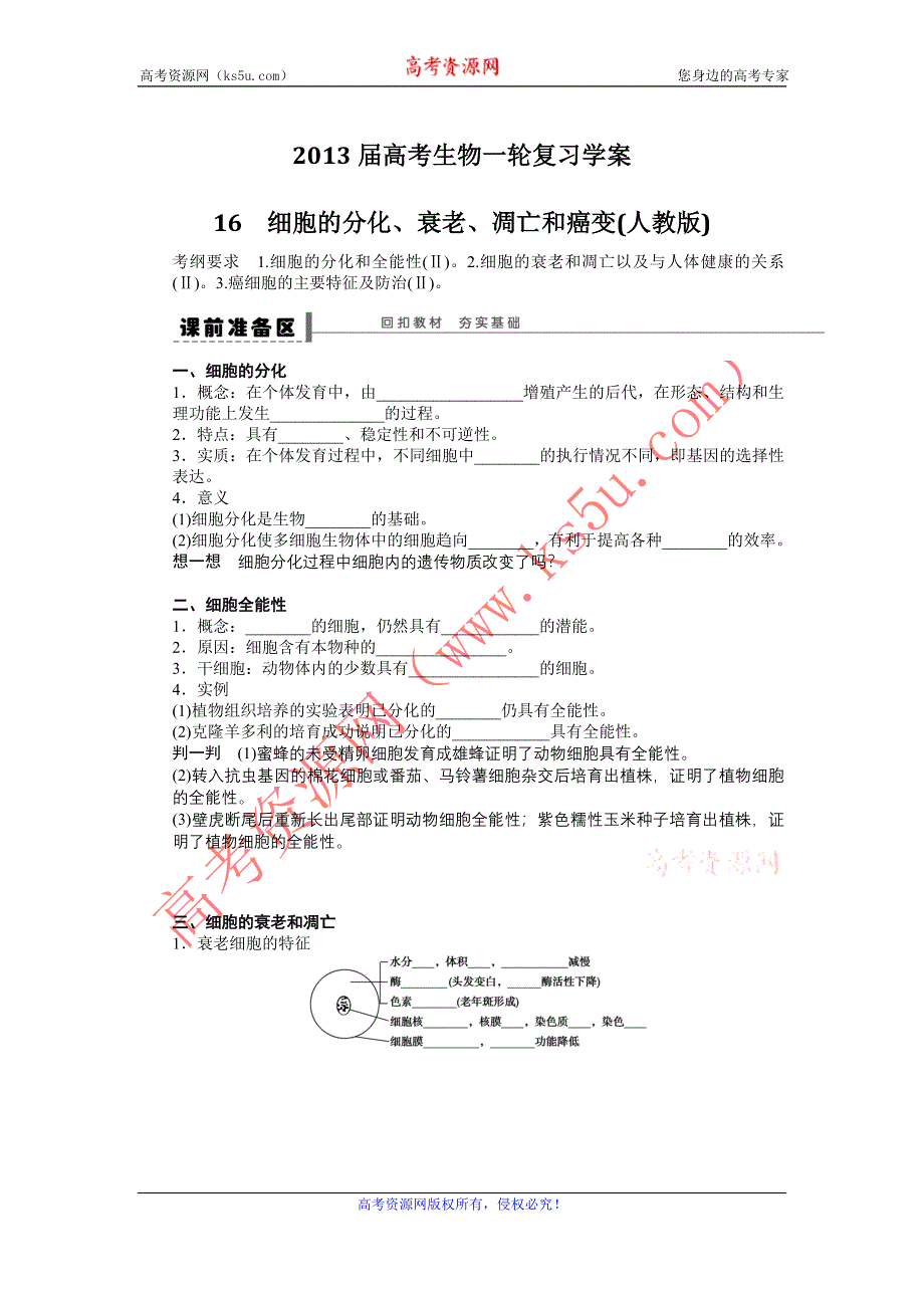 2013届高考生物一轮复习学案16　细胞的分化、衰老、凋亡和癌变（人教版）.doc_第1页