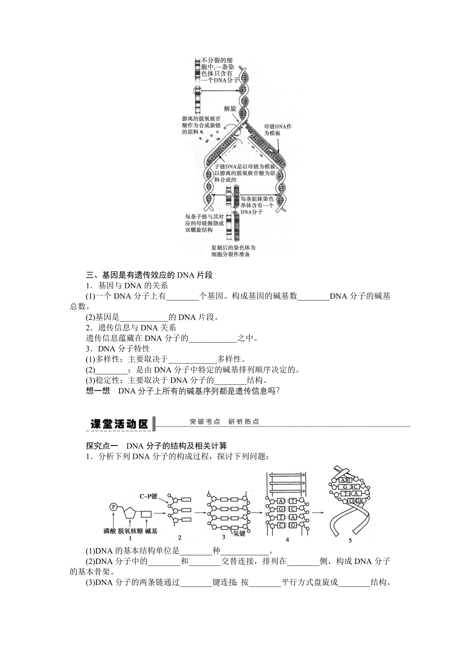 2013届高考生物一轮复习学案24　DNA分子的结构、复制及基因（人教版）.doc_第2页