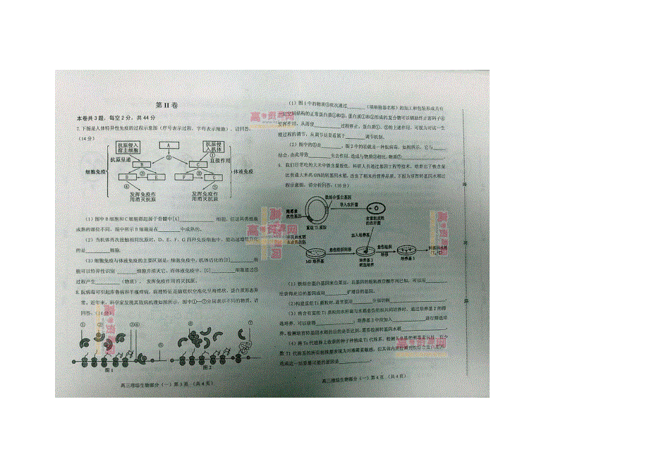 《发布2013河北区一模》天津市河北区2013届高三总复习质量检测（一）生物 图片版含答案.doc_第2页