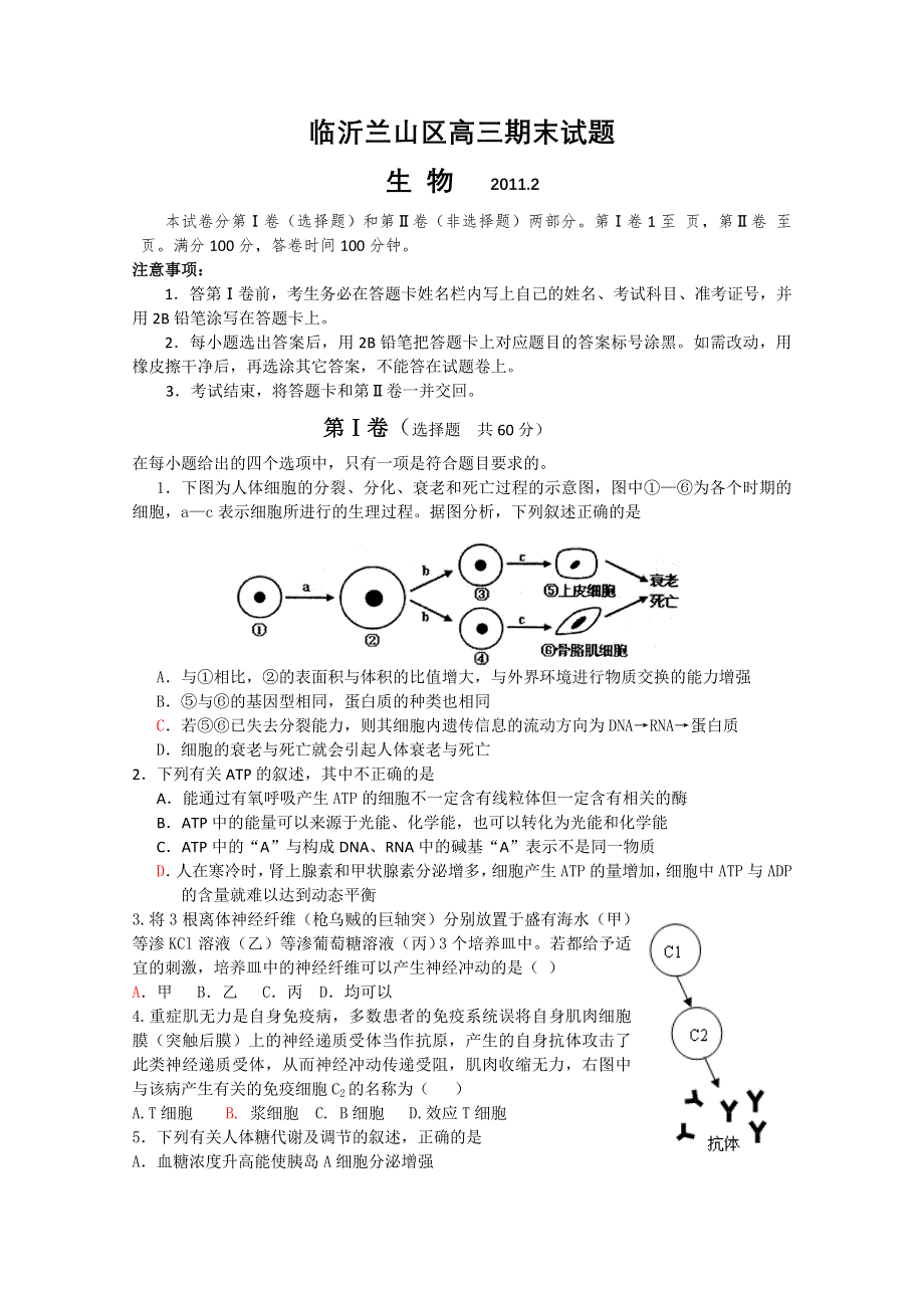 山东省临沂市兰山区2011届高三上学期期末考试（生物）.doc_第1页