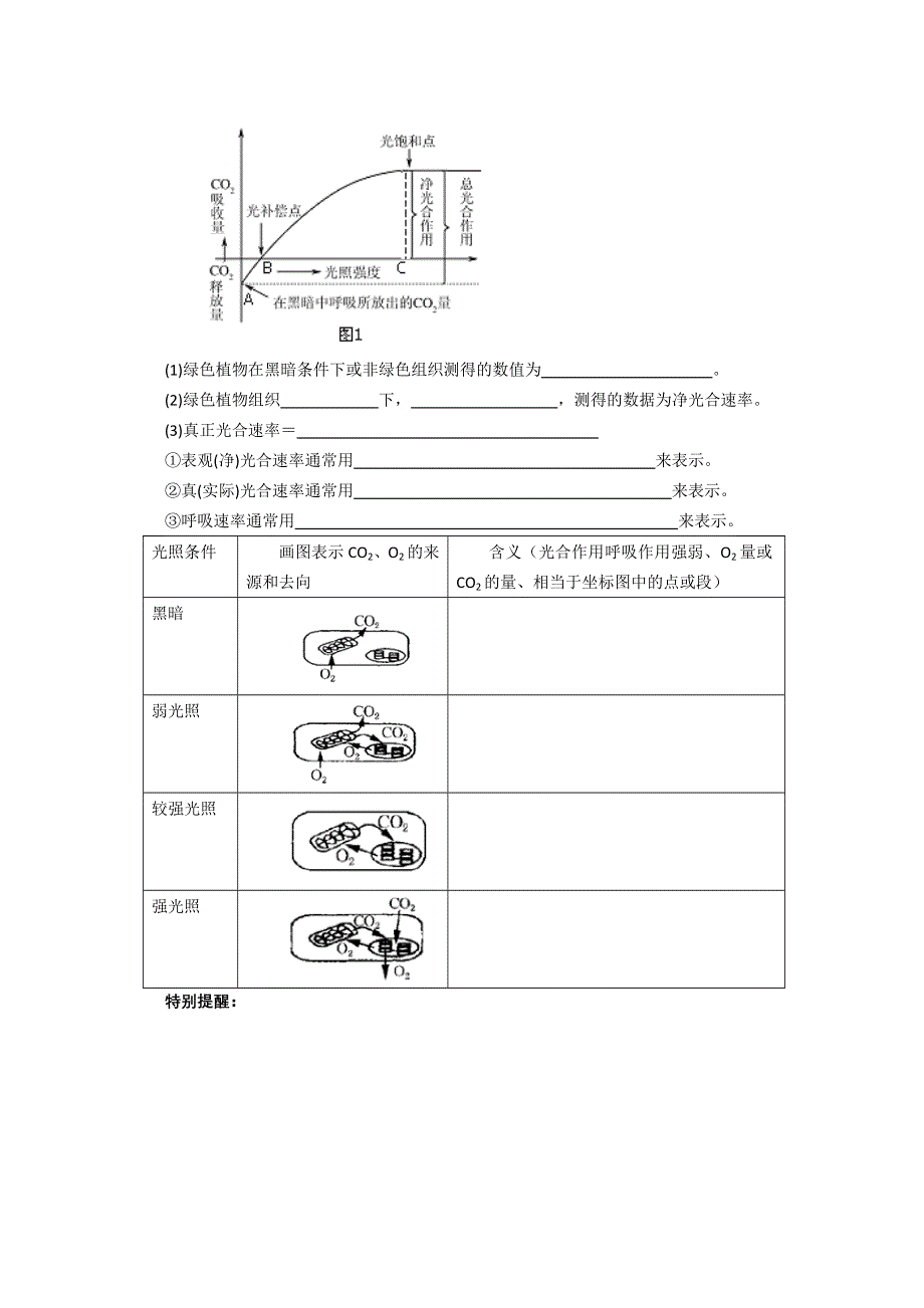 2013届高考生物一轮复习学案：第三单元 光合作用和呼吸作用综合分析.doc_第3页