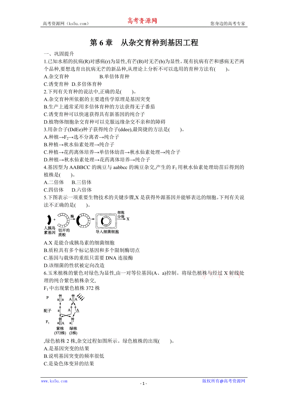 2013届高考生物一轮复习检测：2.6从杂交育种到基因工程.doc_第1页