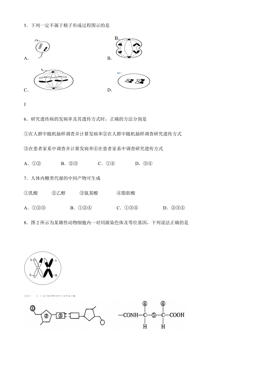 上海市金山区2021届高三上学期期末质量监控（一模）（12月）生物试题 WORD版含答案.docx_第2页