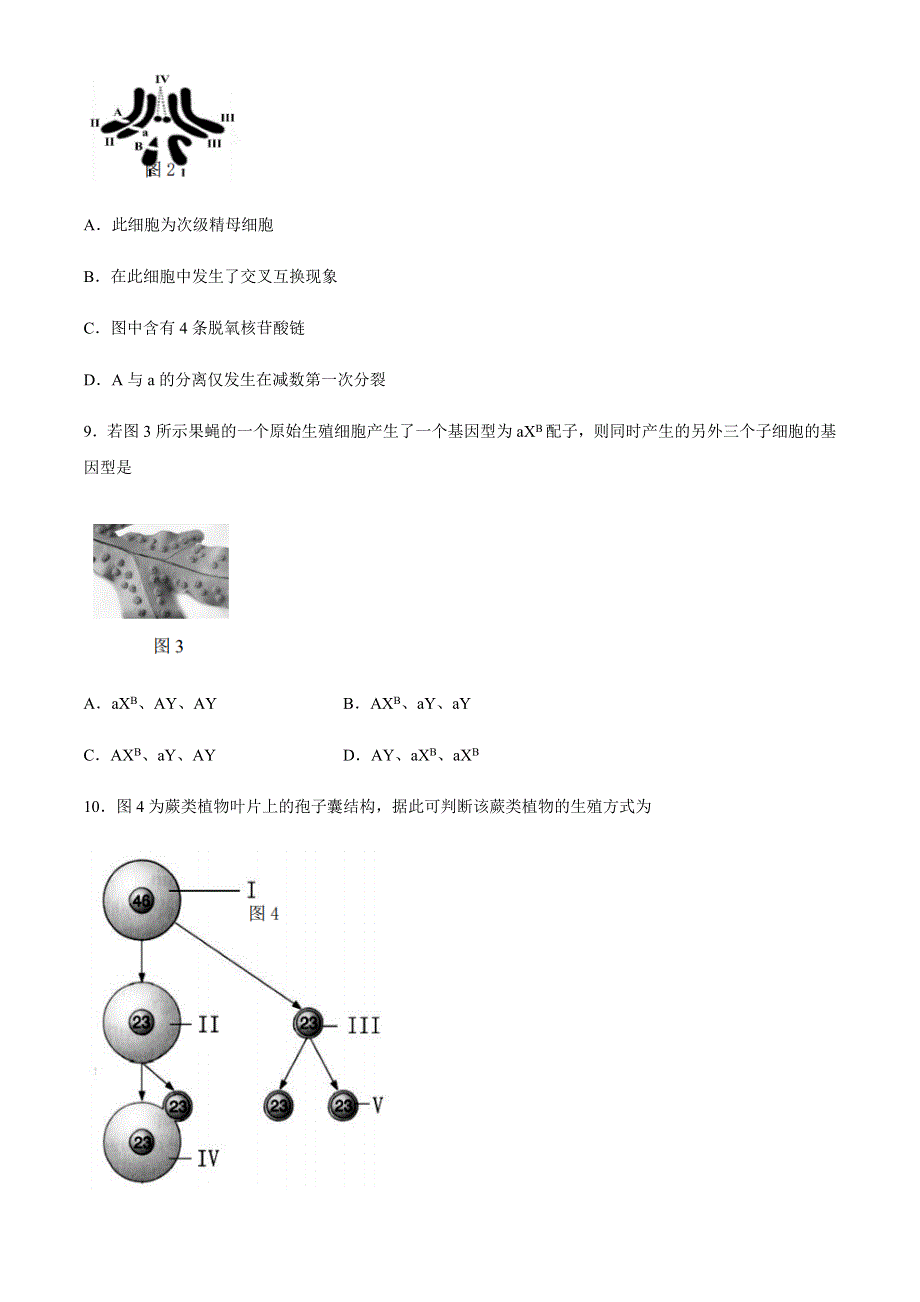 上海市金山区2021届高三上学期期末质量监控（一模）（12月）生物试题 WORD版含答案.docx_第3页