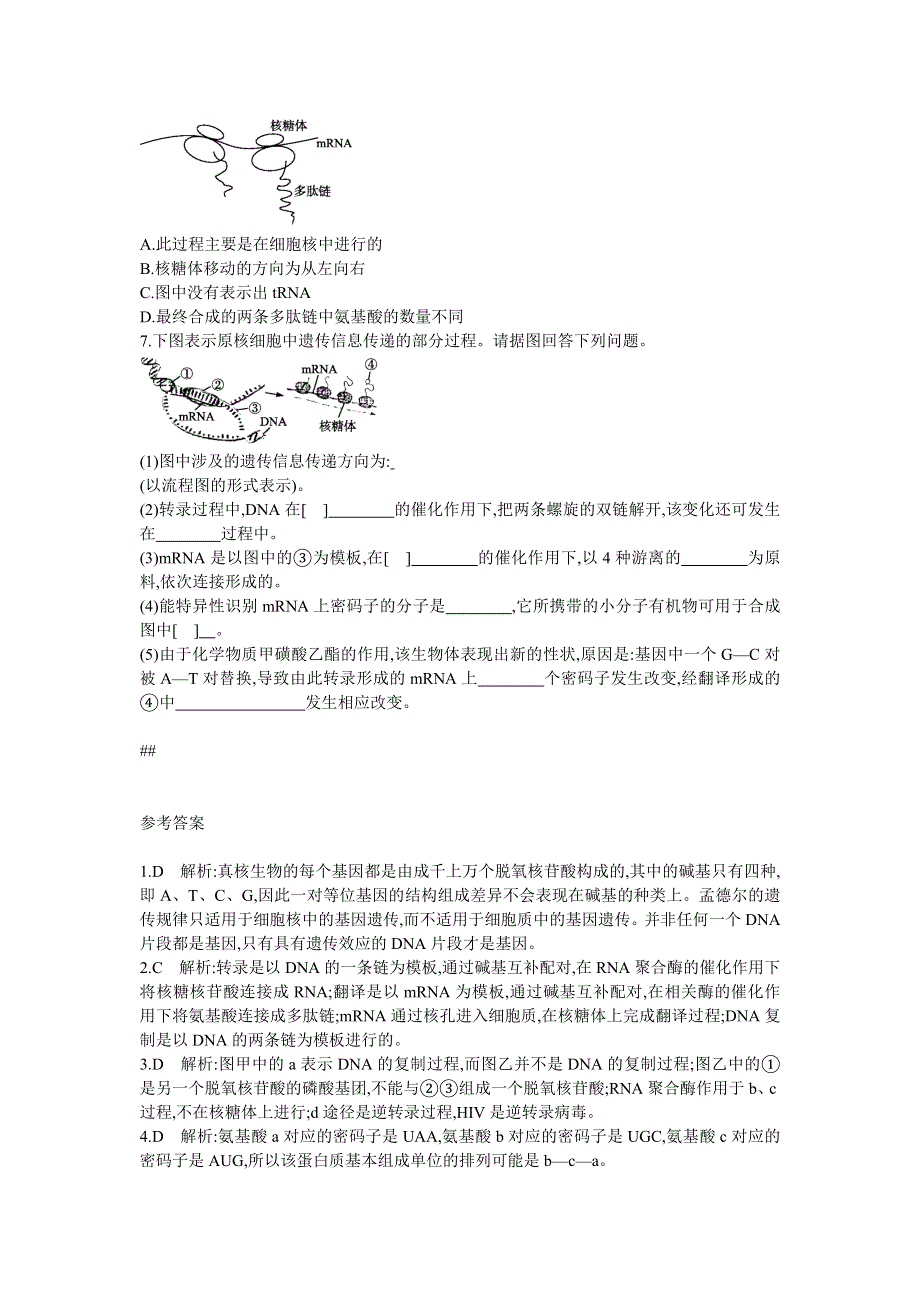 2013届高考生物一轮复习检测：2.4基因的表达.doc_第2页