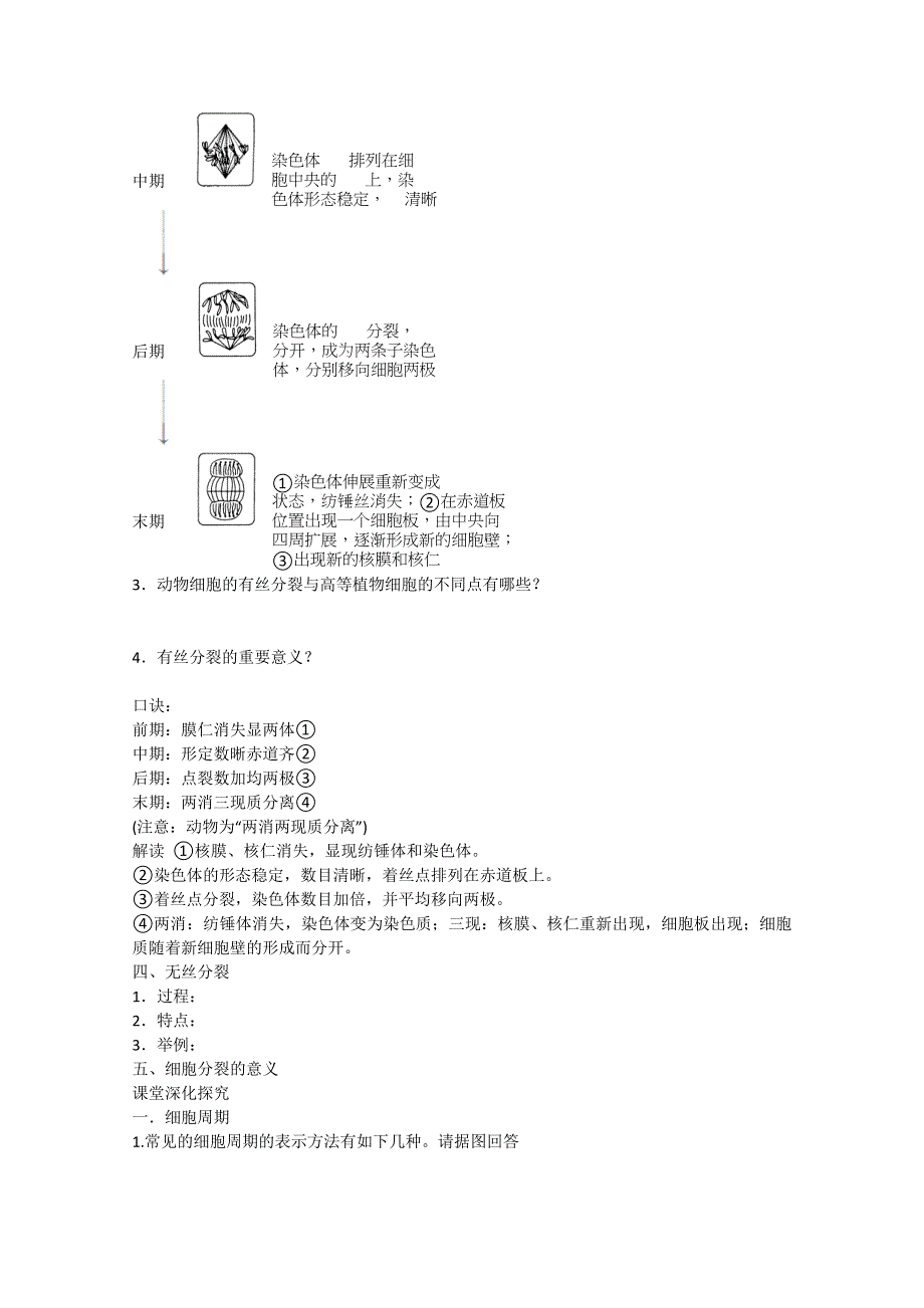 2013届高考生物一轮复习学案：第四单元 细胞的增殖.doc_第2页