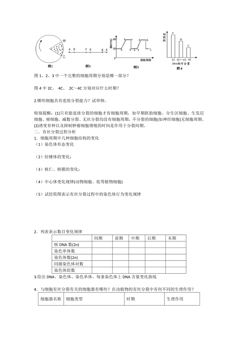 2013届高考生物一轮复习学案：第四单元 细胞的增殖.doc_第3页