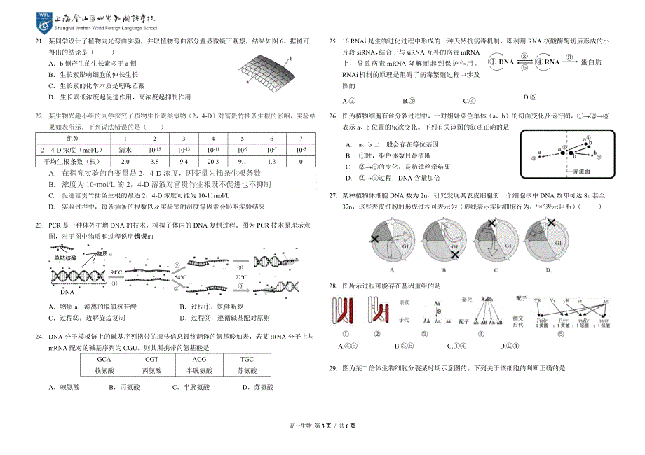上海市金山区世界外国语学校2020-2021学年高一下学期第二次月考生物试题 WORD版含答案.docx_第3页
