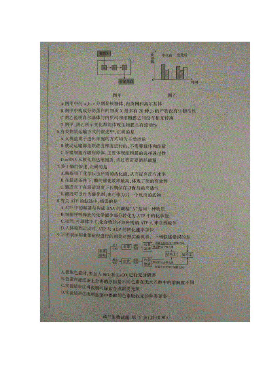 山东省临沂市2016届高三第一次质量检测生物试题 扫描版无答案.doc_第2页