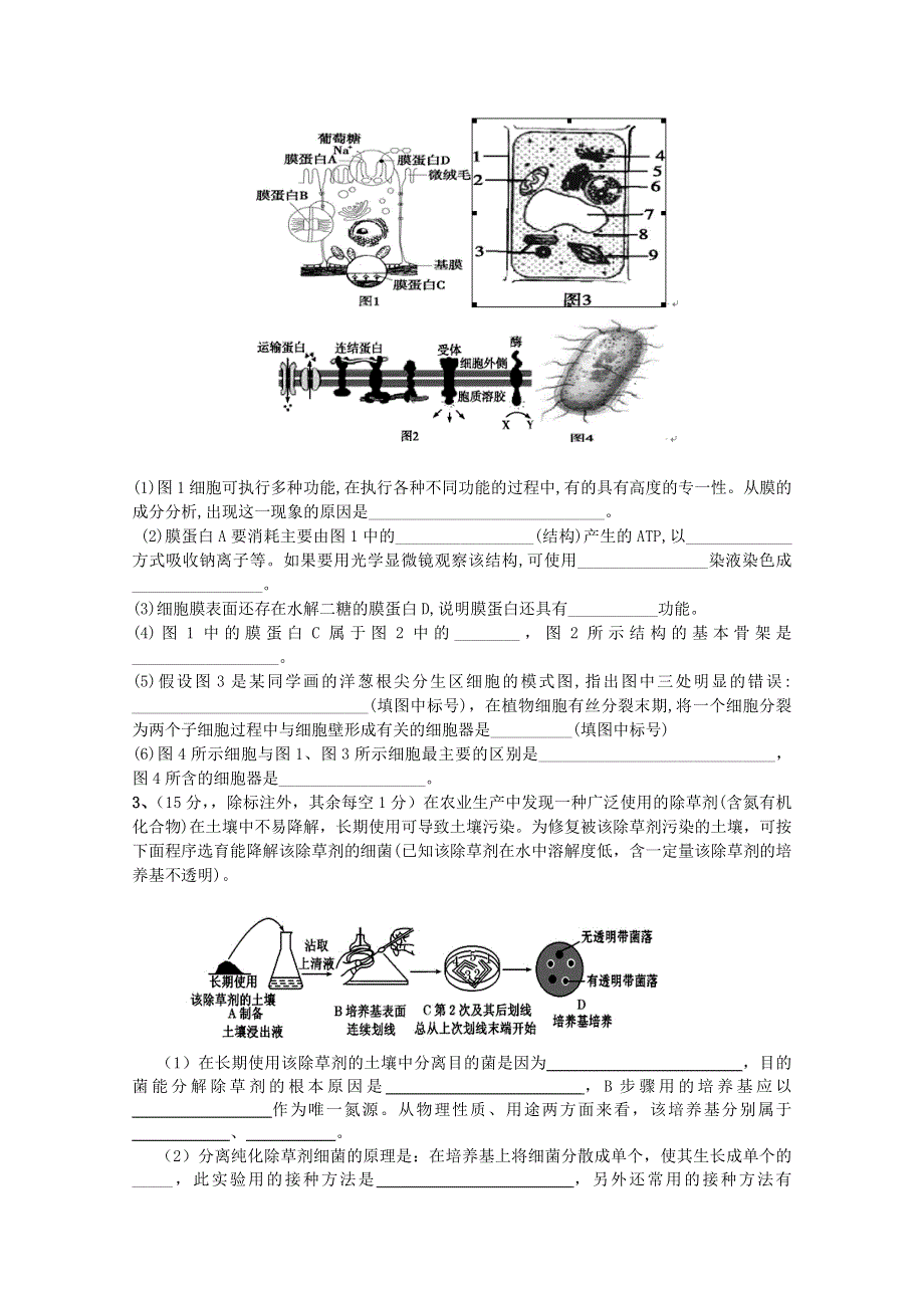 四川省成都市五校2013-2014学年高二下学期期中联考 生物WORD版含答案.doc_第3页