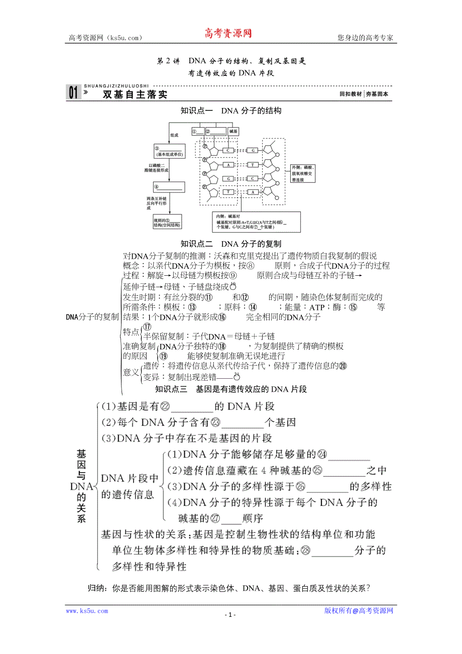 2013届高考生物一轮复习讲义：2.2.2DNA分子的结构.doc_第1页