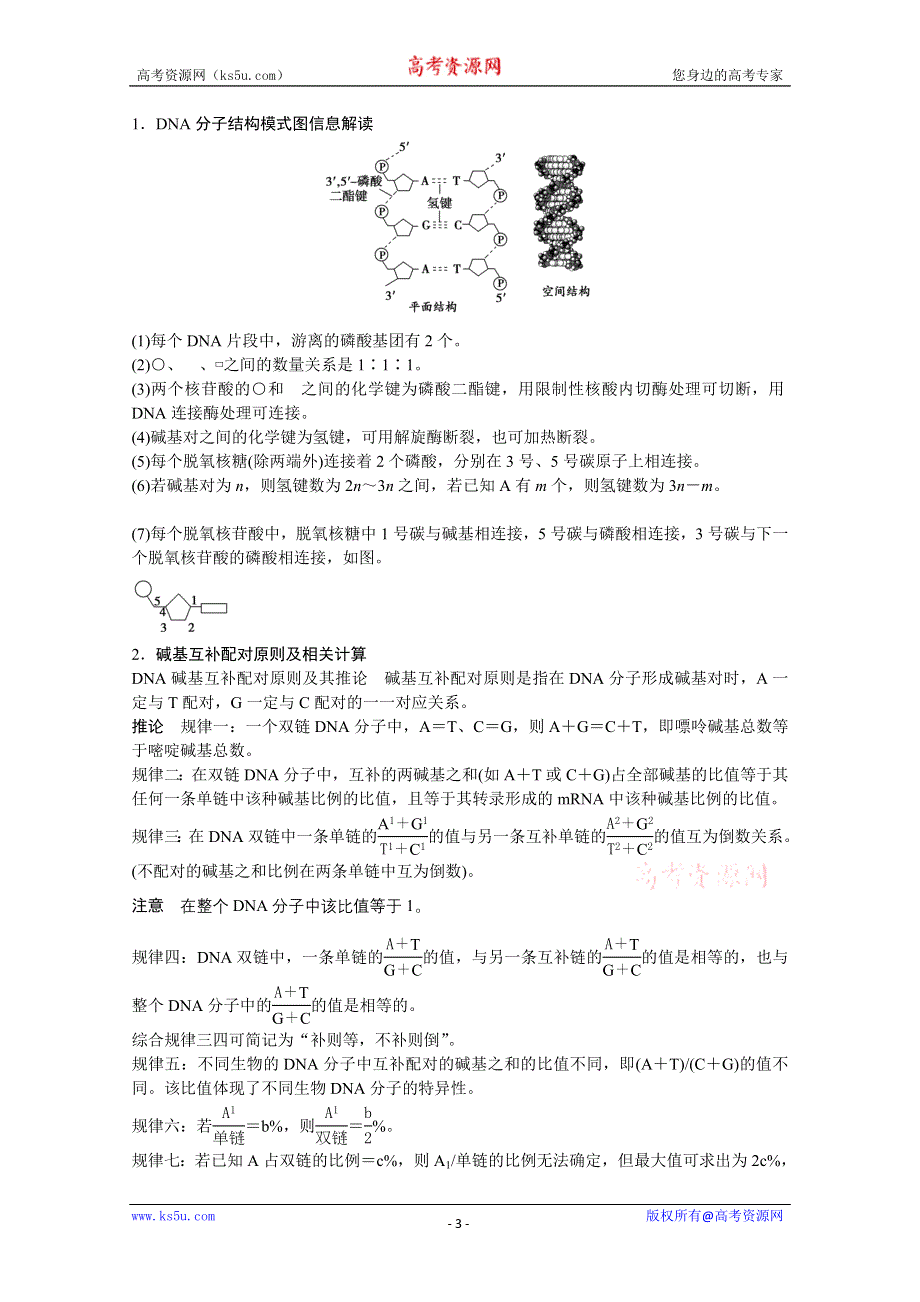 2013届高考生物一轮复习讲义：2.2.2DNA分子的结构.doc_第3页