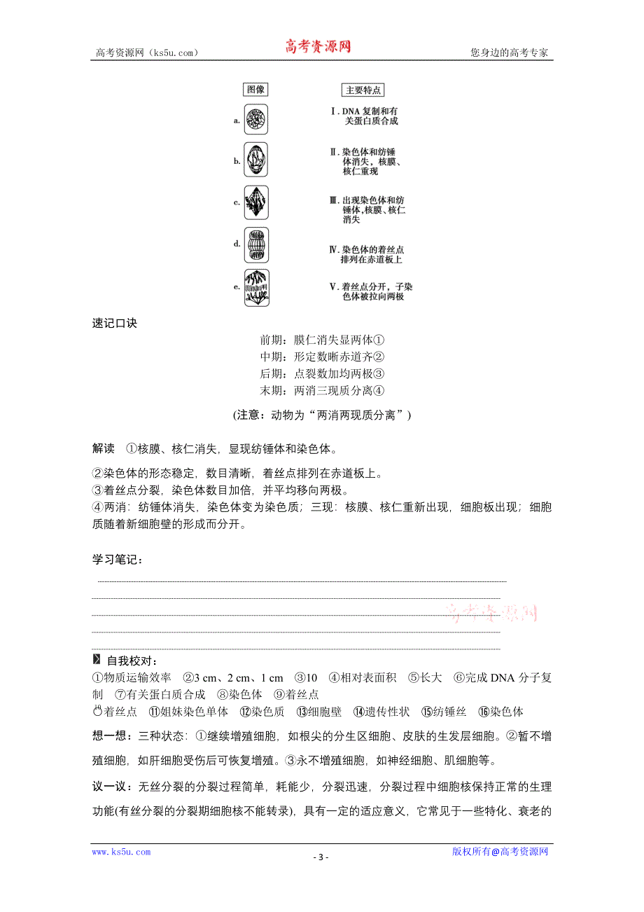 2013届高考生物一轮复习讲义：1.4.1细胞的增殖.doc_第3页