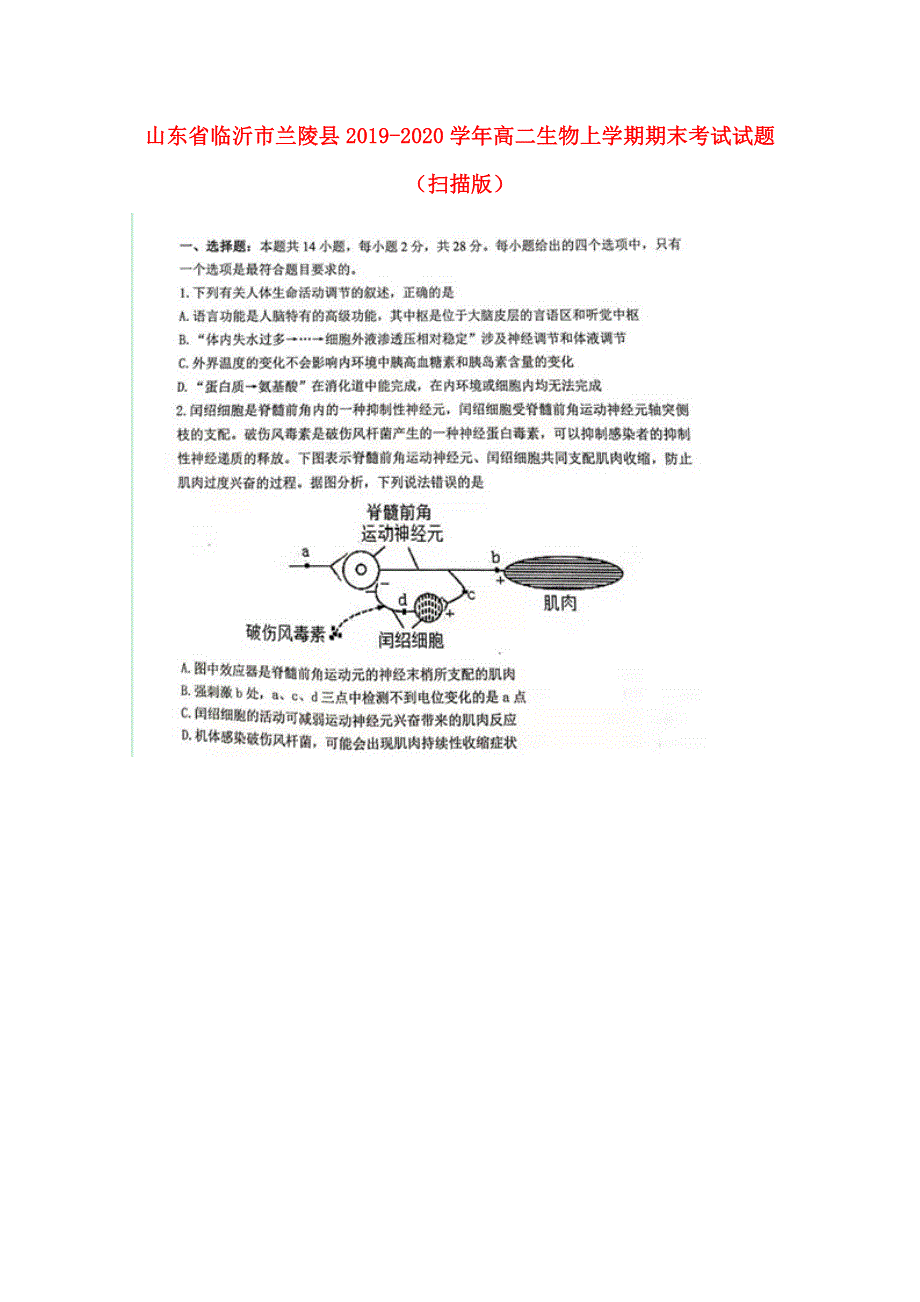 山东省临沂市兰陵县2019-2020学年高二生物上学期期末考试试题（扫描版）.doc_第1页