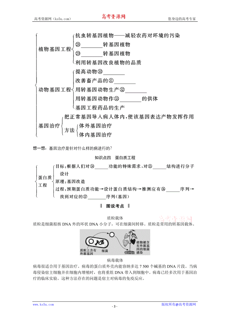 2013届高考生物一轮复习讲义：选修3.1基因工程.doc_第3页