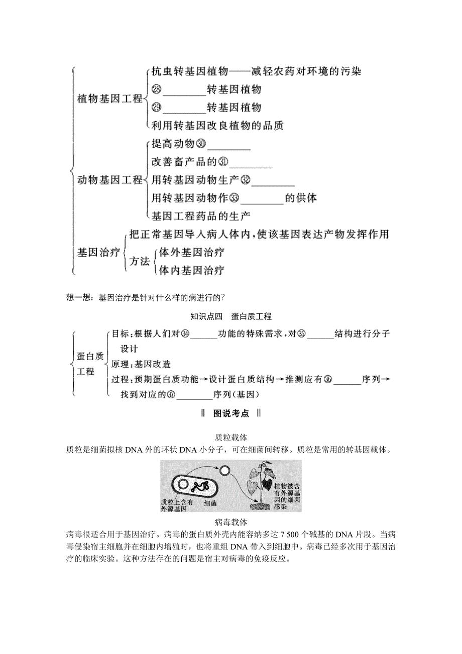 2013届高考生物一轮复习讲义：选修3.doc_第3页